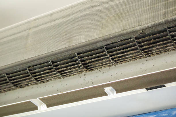 Best Commercial Air Duct Cleaning  in Houston, TX